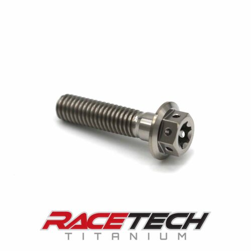 Titanium m6x25 Dual Drive